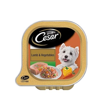 Cesar Premium Adult Wet Dog Food, Lamb & Vegetables, 6 Trays (Pack of 24)