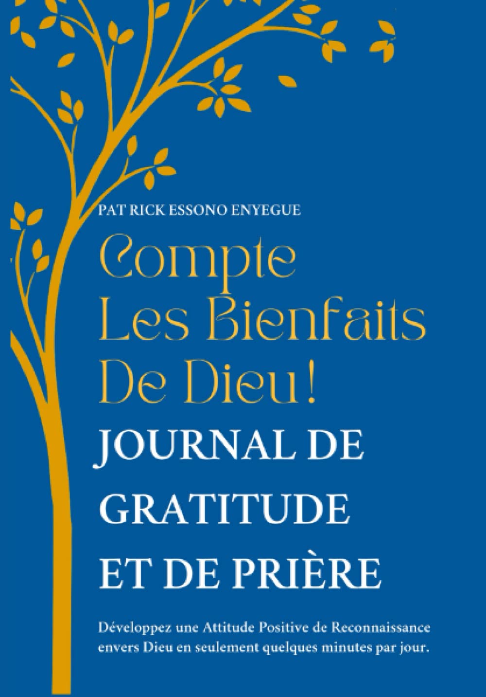 Buy Compte Les Bienfaits de Dieu Journal de Gratitude et de Prières