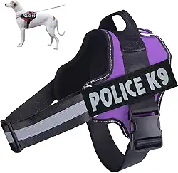 Coleira Peitoral Para Cachorro Porte Pequeno Médio e Grande Colete Confortável Policia K9 (Lilás, GG)