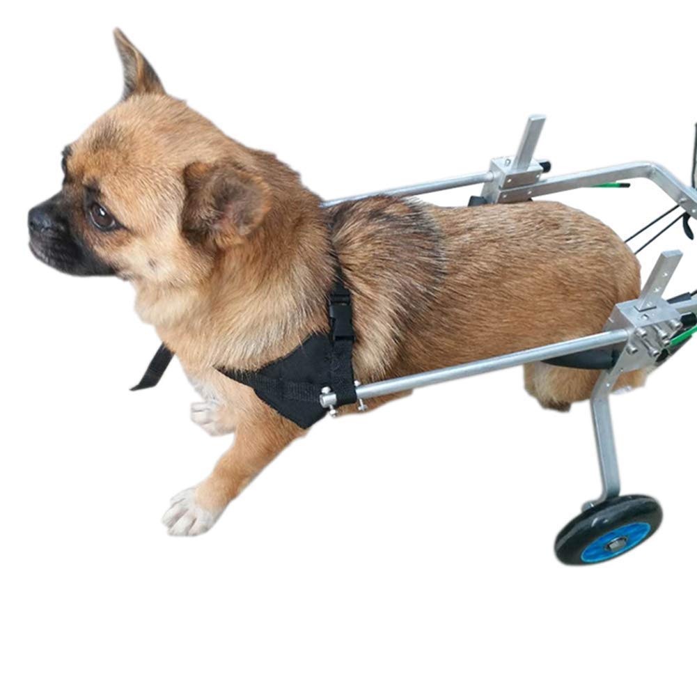 Amazon.co.jp: 犬用車椅子、ブラケットスクーター、切断犬用、足の骨折