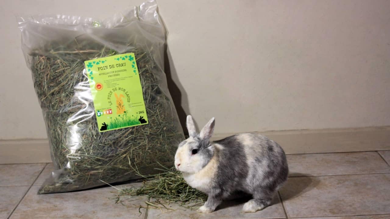 Foin De Crau AOP/AOC 2kg pour Lapin, et Rongeur - lefoindemonlapin (Lot de 1 de 2kg)