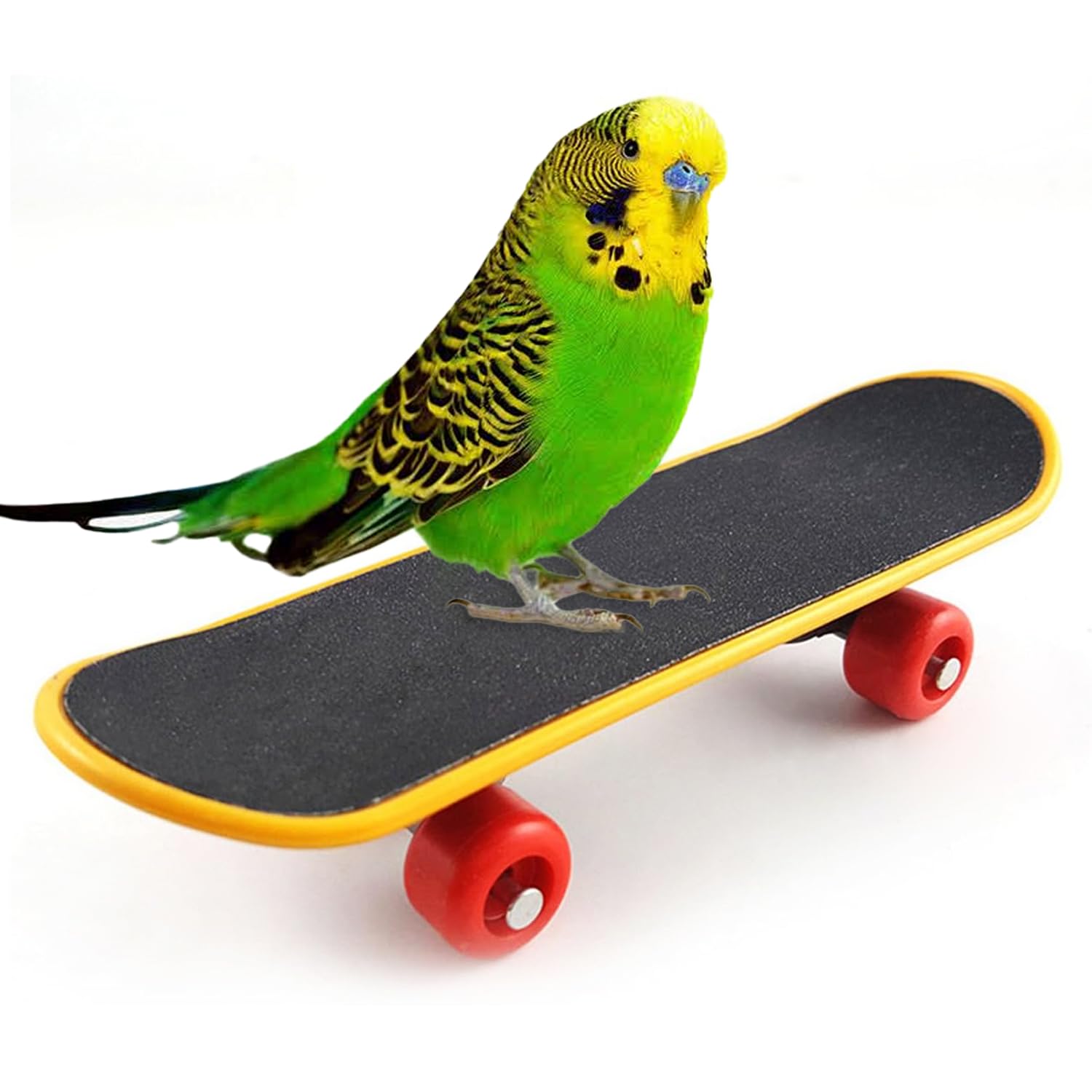 鳥玩具 スケート ボード ペット用品インコミニスケートボード スタンドアップトレーニング ストレス軽減玩具 ペットグッズ オウムのおもちゃ