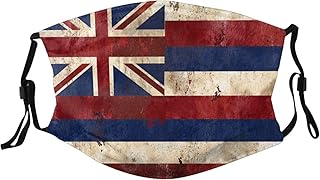 Vintage Hawaiian Flag Variety Face Mask Washable Reusable Adults Breathable with 2 Filters Black