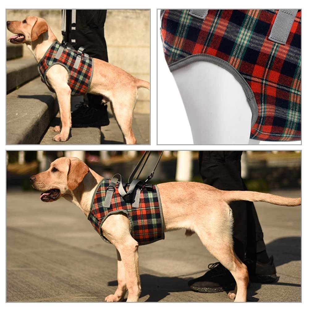Harnais de Levage pour Chien,Support de Levage de Chien avec Poignée pour Pattes Avant,Sangles Réglables pour Chiens Âgées Handicapées Récupération Et Marche