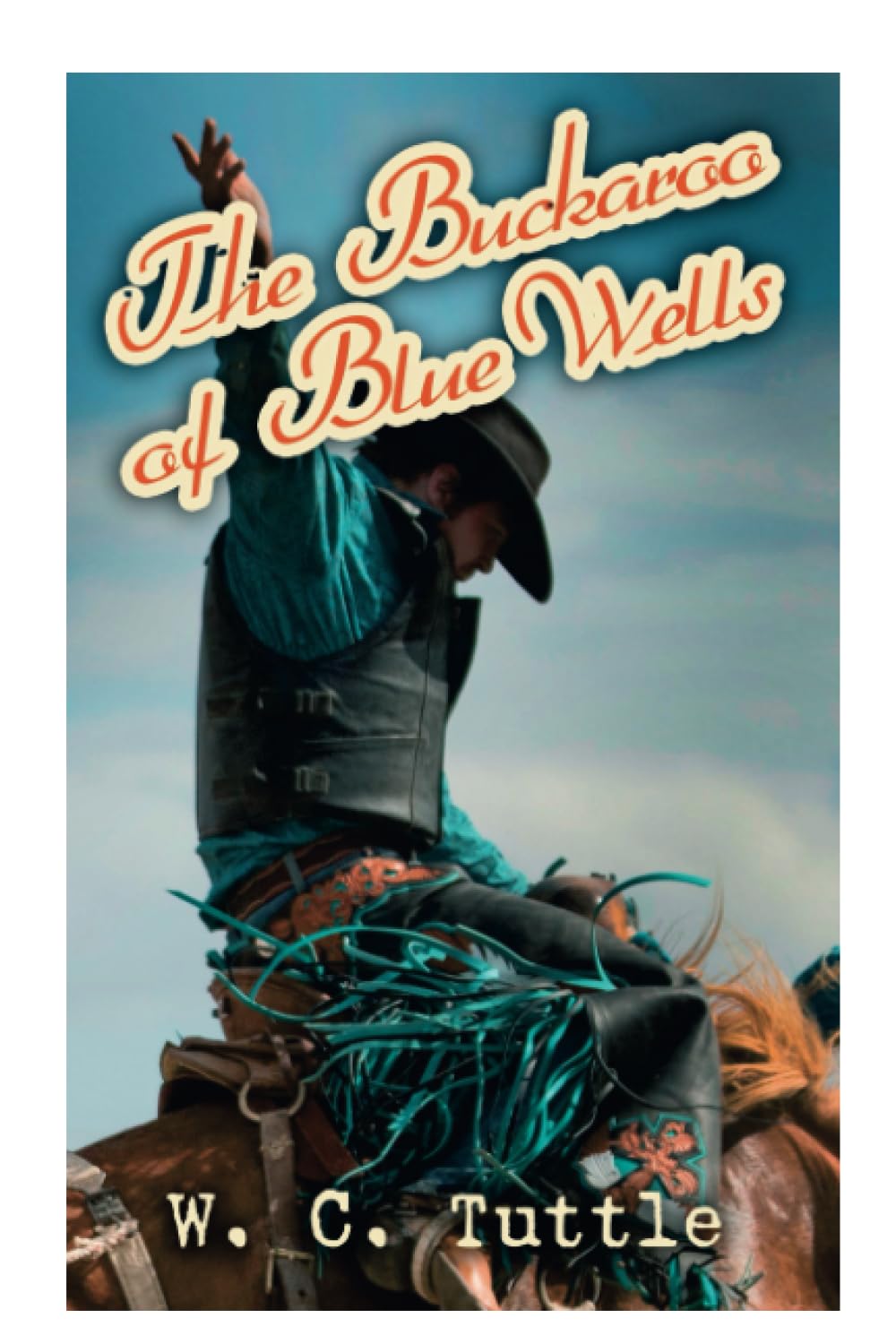 The Buckaroo of Blue Wells