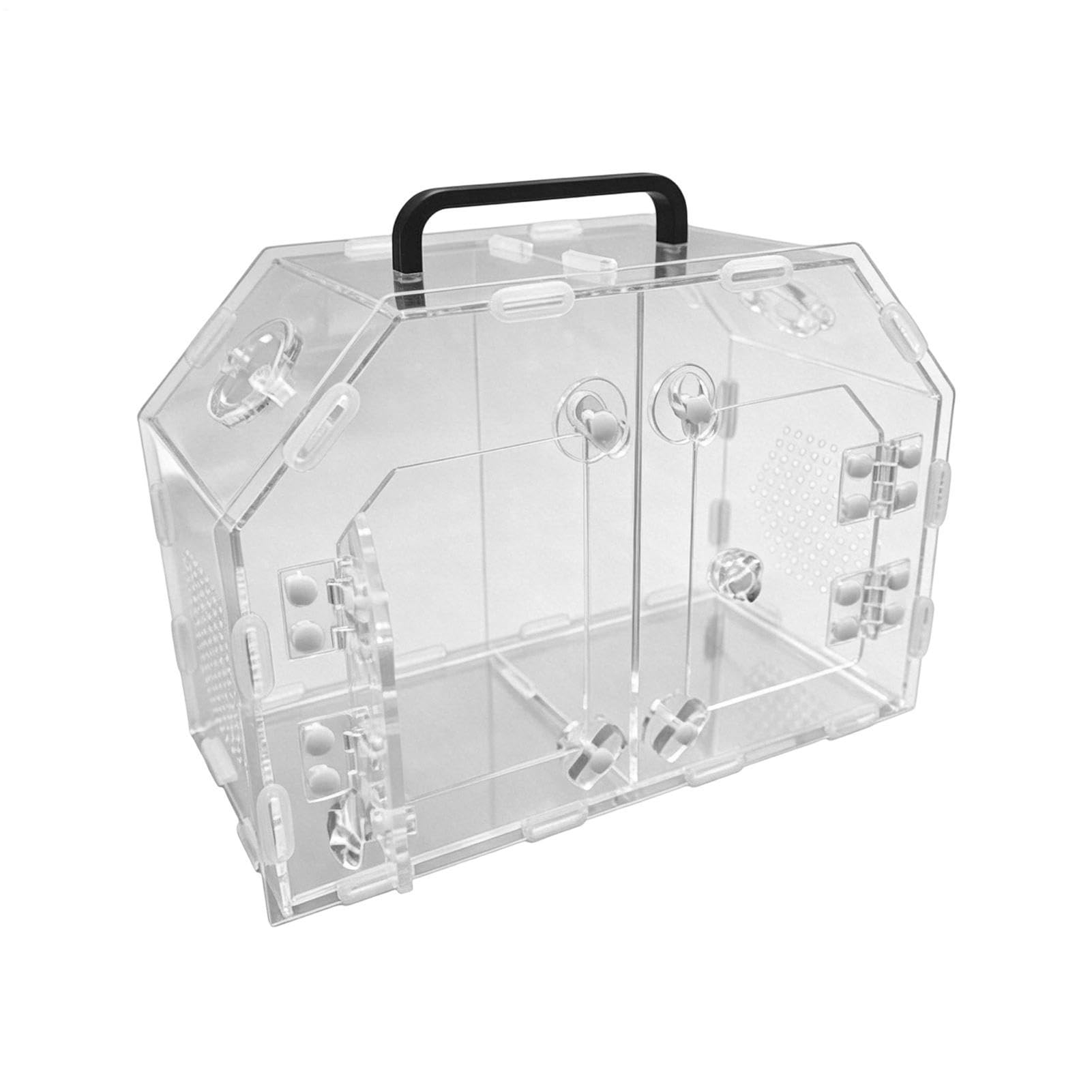 Terrarium reptile anti-fugue transparent et respirant 25x11,5 cm pour gecko