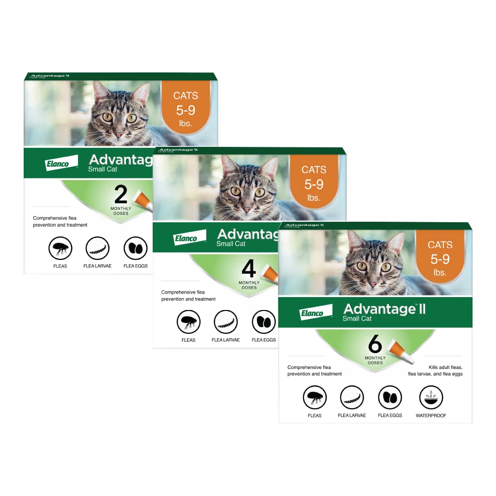 Advantage Ii Small Cat Vet Recommended Flea Treatment And