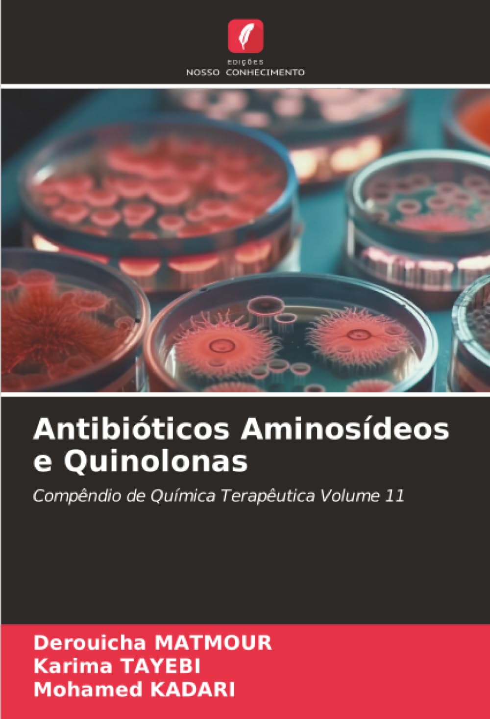 Antibióticos Aminosídeos e Quinolonas: Compêndio de Química Terapêutica Volume 11