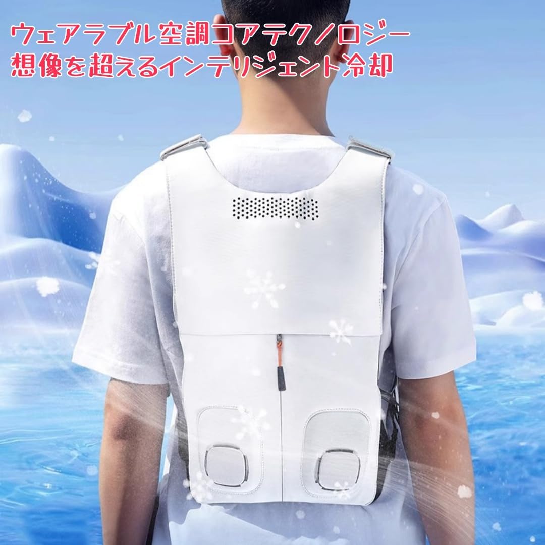 Amazon.co.jp: [Kiwet] 最強ワークマン空調服冷却ゲルユニット＆ファン