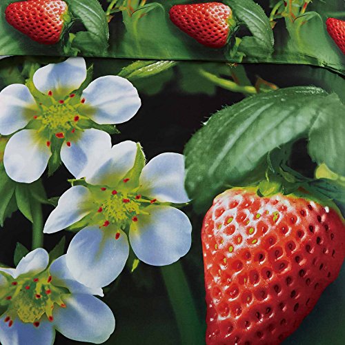 Queen Duvet Cover Bedding Set, Dolce Mela - Strawberry Dm512Q #TOP2