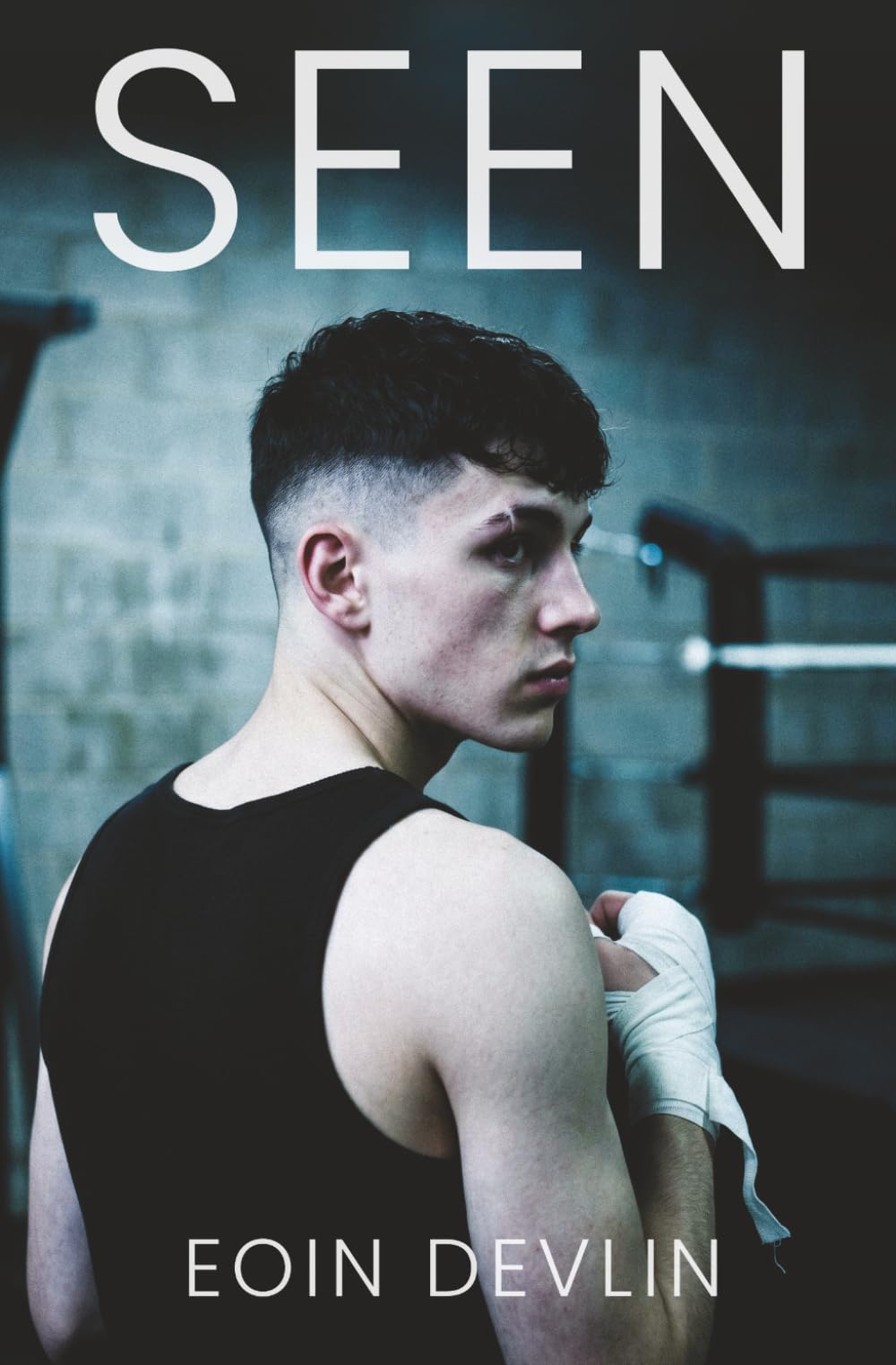 Seen: A West Belfast Story