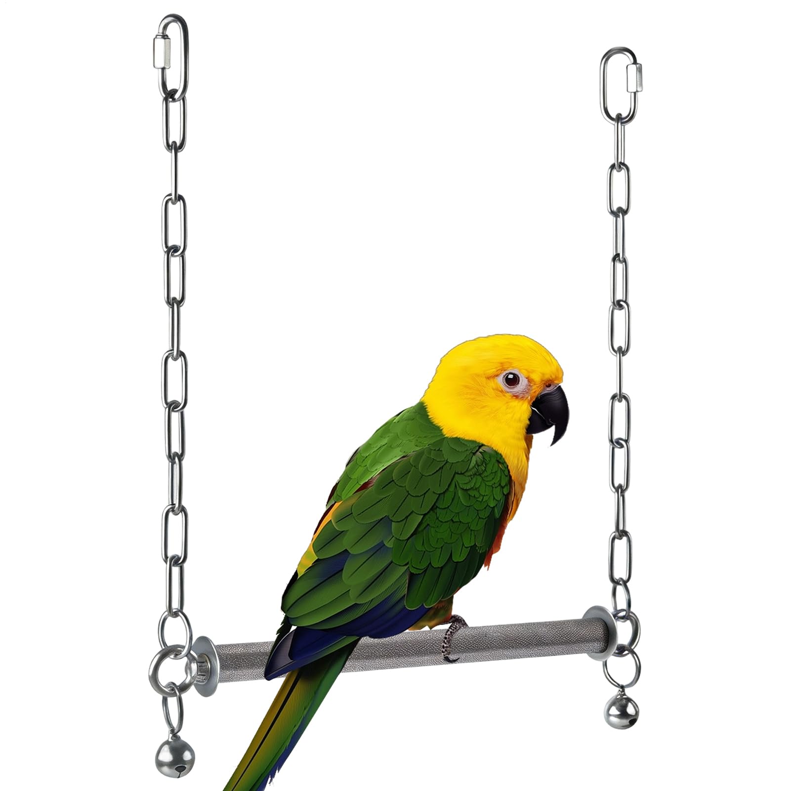Balançoire en acier inoxydable pour perroquet et grand oiseau cage