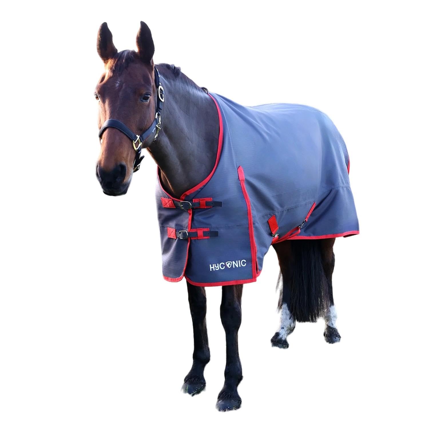 HYCONIC 0g Turnout Rug - Charcoal/Red (5'0")