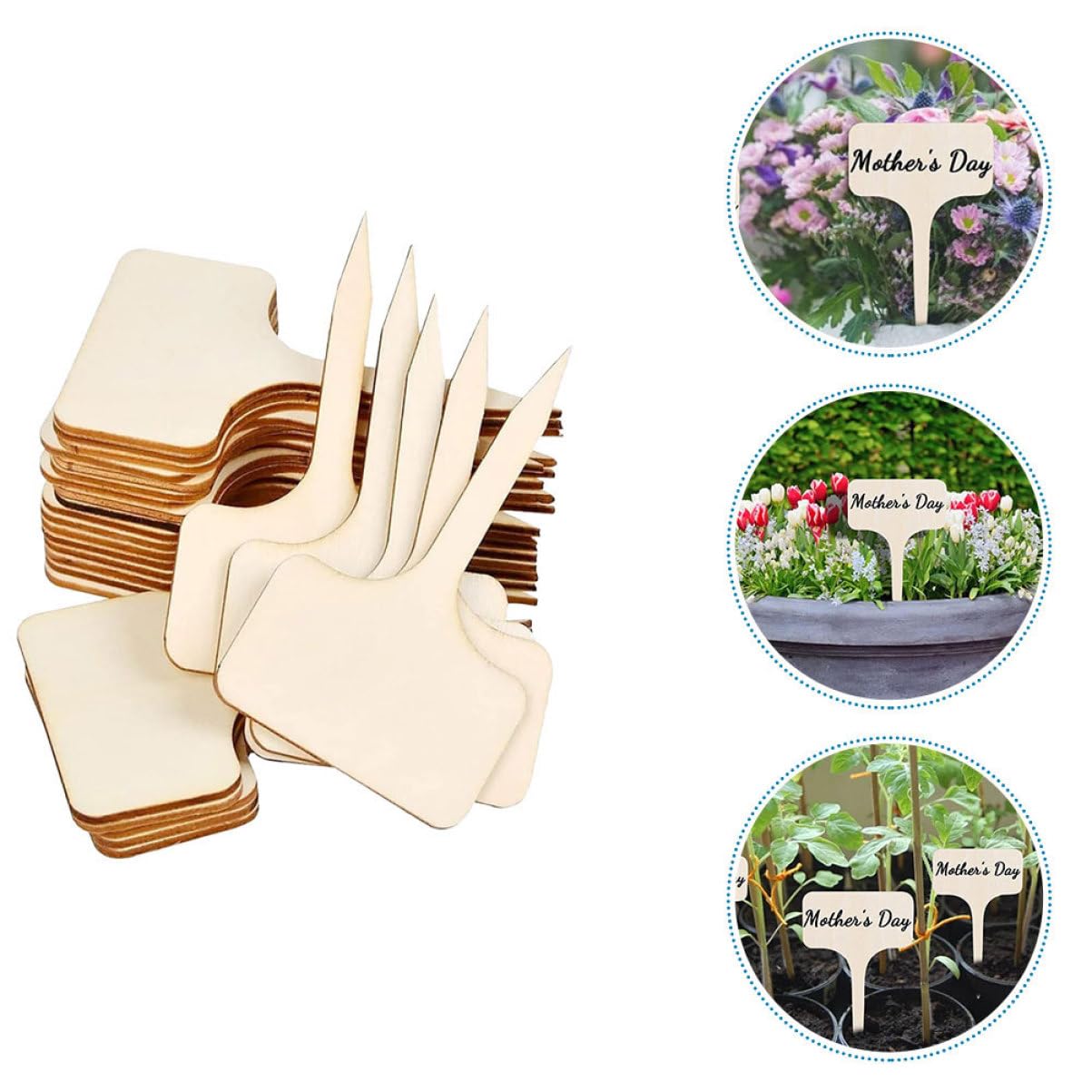 POPETPOP 5 Ensembles Étiquette D'insertion Piquets De Jardin Petit Usine Graine Fougères Étiquette Prenom Étiquette Jardinage Étiquettes En Bois Marqueurs De 20 Pièces * 5