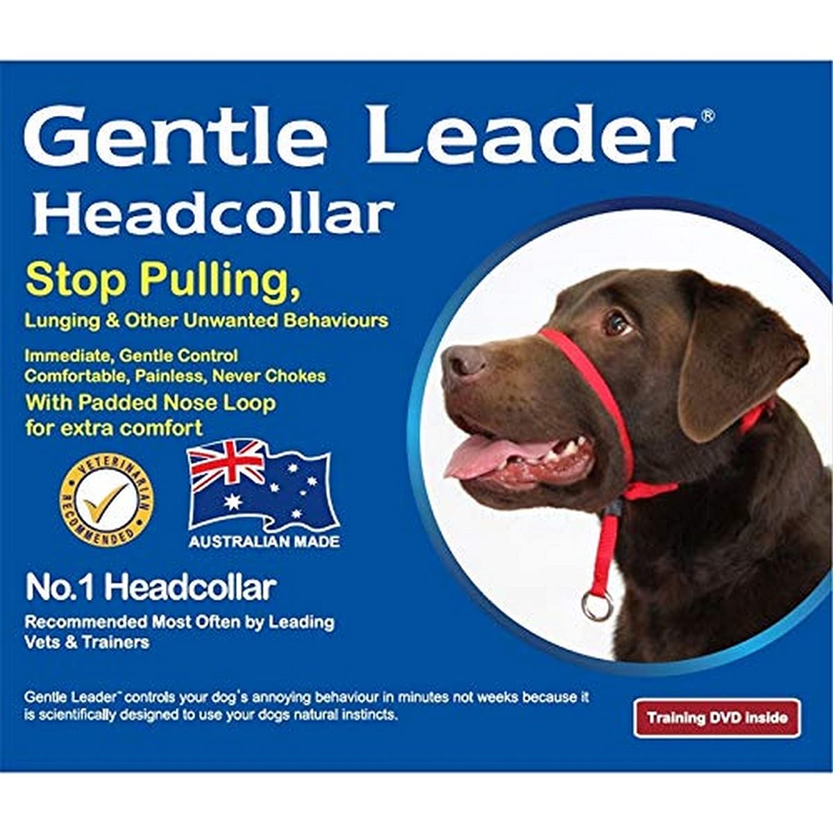 what's a gentle leader for dogs