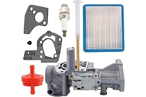 Briggs & Stratton 5 HP Carburetor: 498298