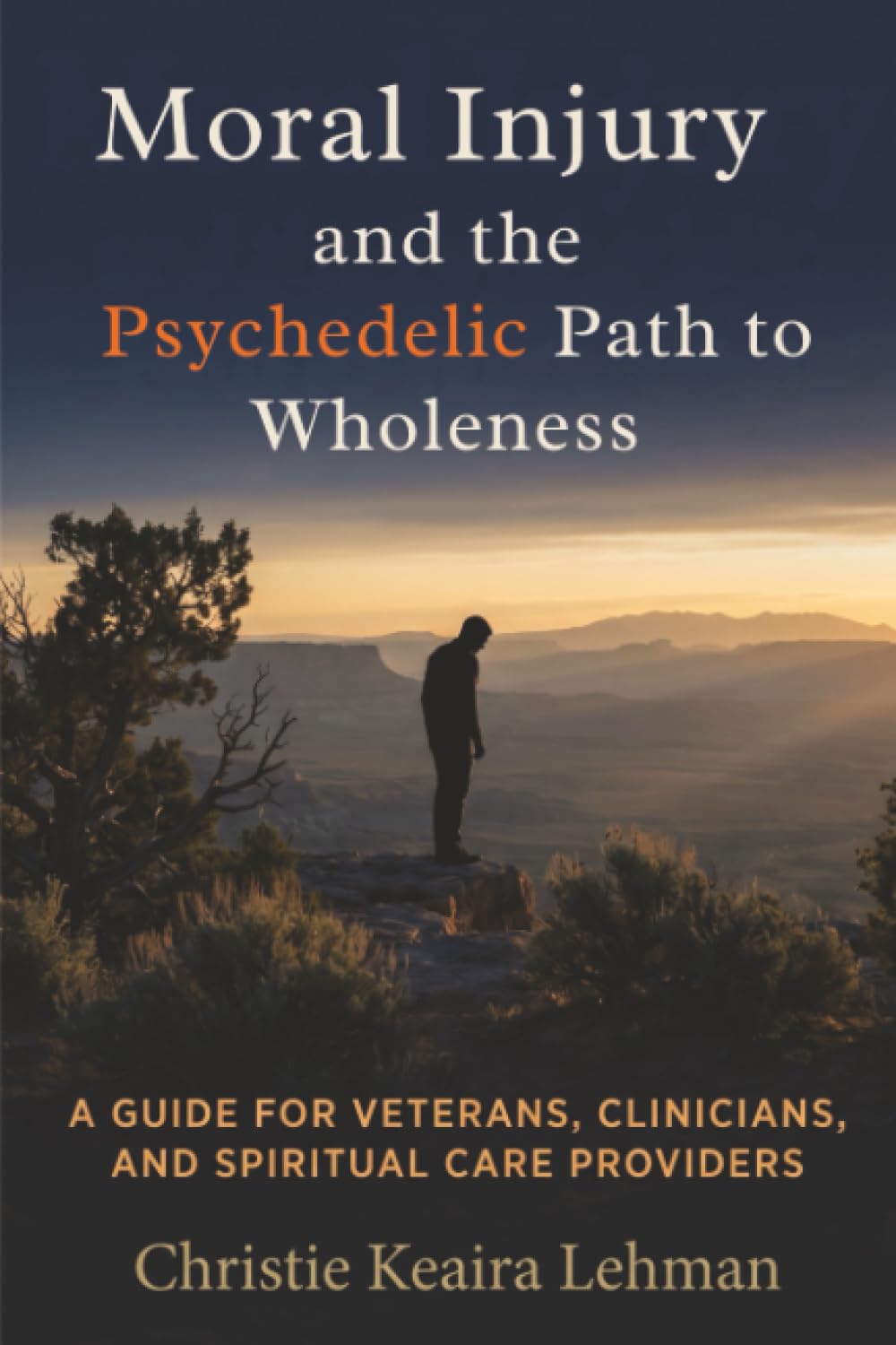 Moral Injury and the Psychedelic Path to Wholeness: A Guide for Veterans, Clinicians, and Spiritual Care Providers