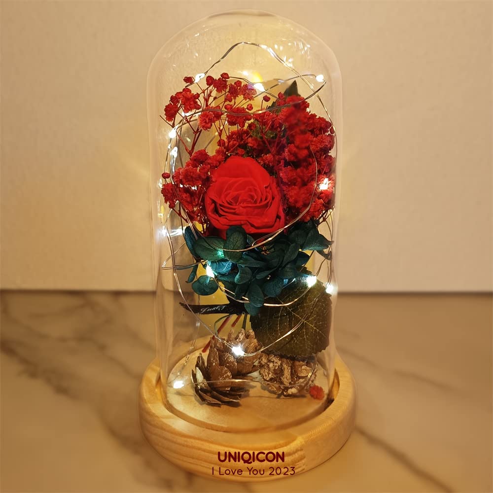 Uniqicon Women's Dfr-Deep Red Eternal Rose Enchanted Sparkly Flower Artifical, Beauty And The Beast Infinity Galaxy Preserved Roses Lamp, Forever Glass Dome Gifts For Anniversary Mothers Girlfriend Wife Her Birthday