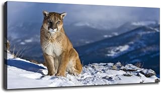 Framed Print - Mountain Lion Sitting In The Snow (Picture Animal Cougar Puma Art Poster Poster Canvas Prints Wall Art For Home Office Decorations With Framed 20"x12"