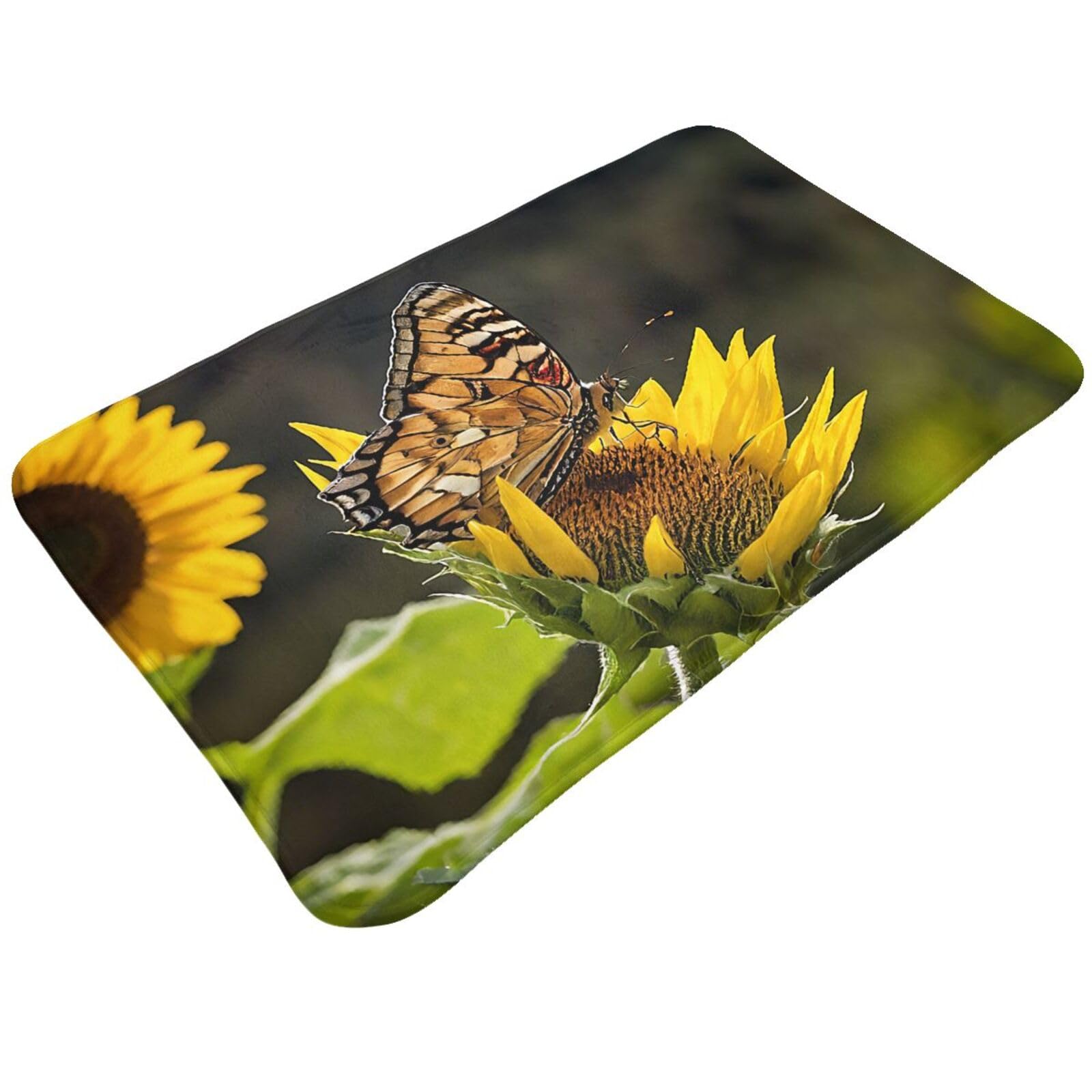 Sunflower Butterfly Print Living Room Bathroom Kitchen Anti Slip and Absorbent Carpet, Indoor Entrance Door Muddy Floor Mat, Ultra Soft Washable Carpet 21x31.5 Inches