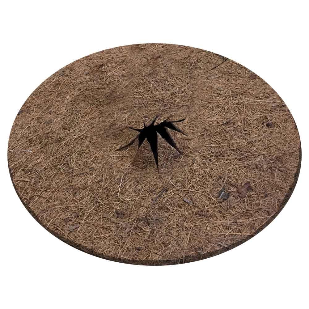 Afenau Fibre De Coco Pour Plante, 8 Pcs Disque De Paillage, 30 Cm