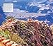 Fodor's InFocus Grand Canyon (Full-color Travel Guide)