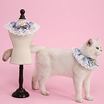 Amazon | AQUALOACH 猫用レースフリルカラー 可愛い蝶ネクタイ