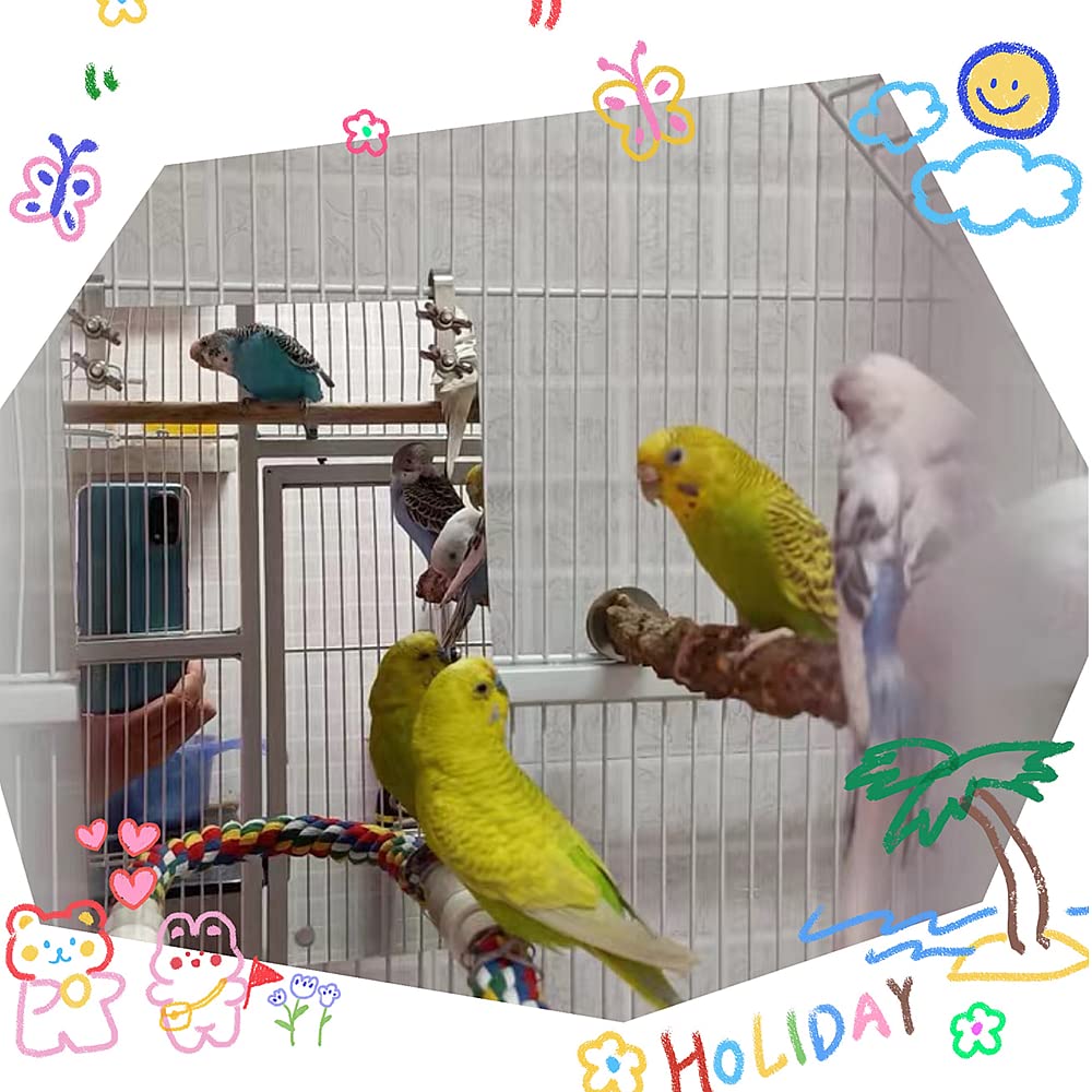 Giocattolo A Specchio Per Uccelli Con Corda E Trespoio - Per Pappagalli, Parrocchetti E Canarini - Foto 9