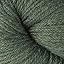 Spruce