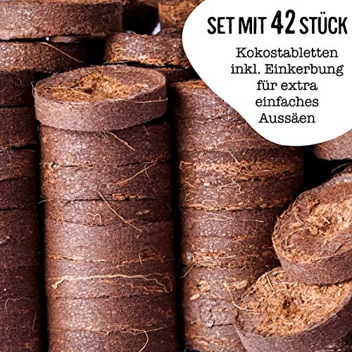 valeaf Kokos Quelltabletten 42 STK mit Nährstoffen I torffreie Kokoserde Anzuchterde mit Startdünger I Kokosquelltabs I Pflanzen für Anzucht I ideal für Stecklinge I Anzucht Erde ohne Pikieren - Image 6
