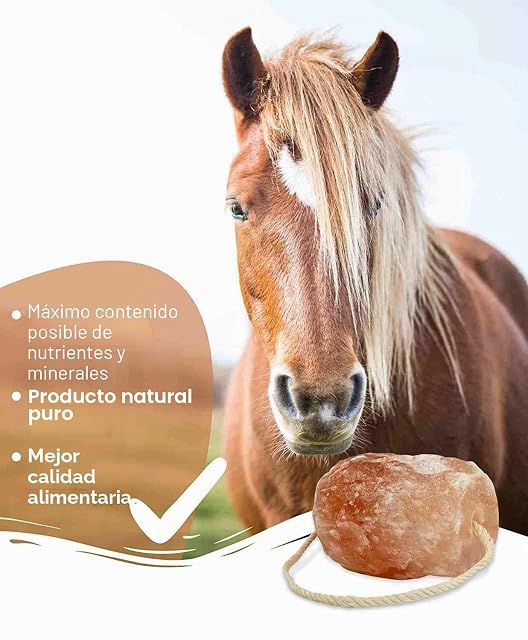 Foto 3 de 8 de Piedra de sal 4 piedras para fugas con cordel, total aprox. 8 kg, para caballos, ovejas, vacas, salvajes