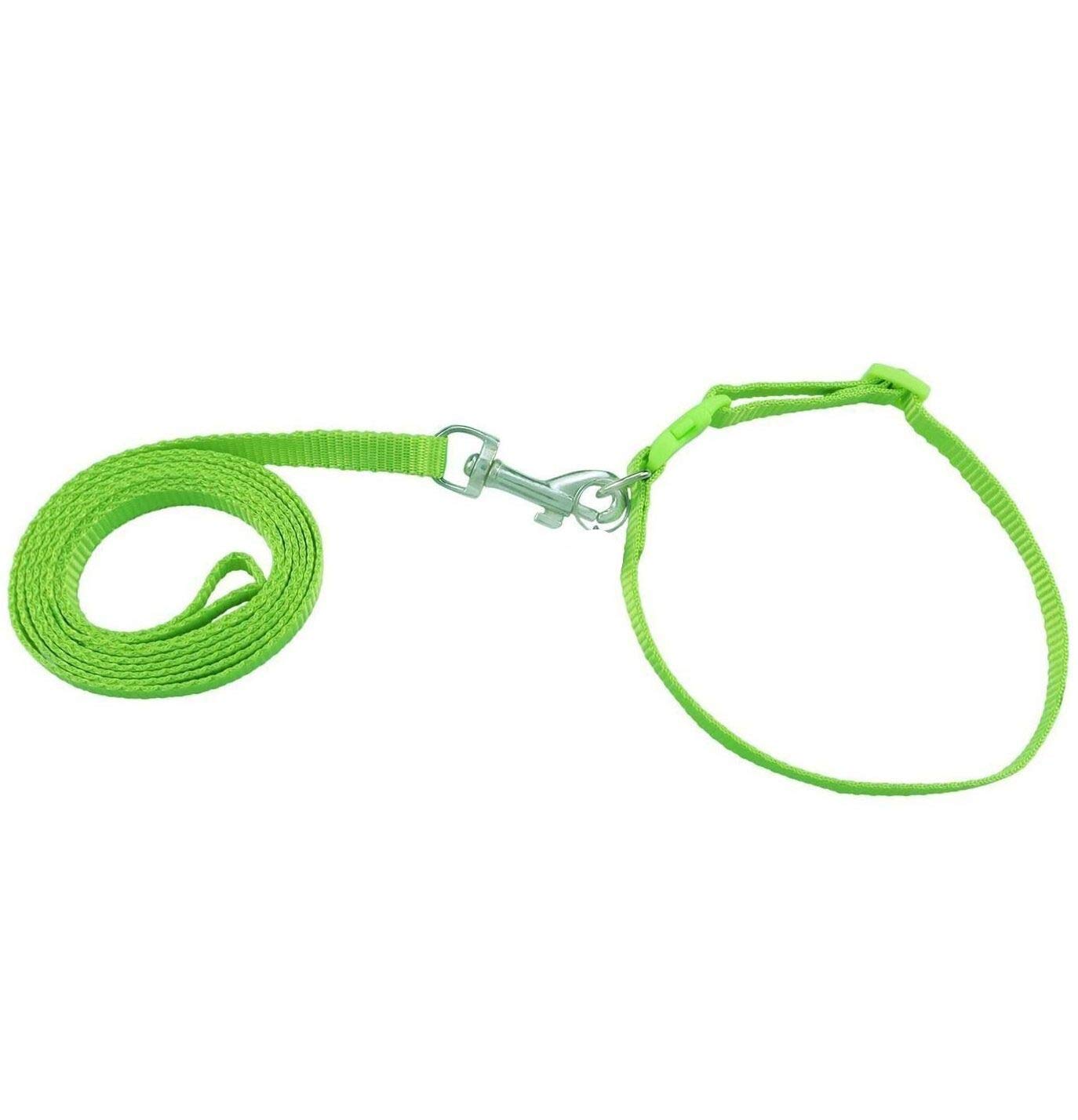 Pets Nylon Dog Leash and Collar Set X-Small, Suitable for Puppies, Green (B07D4L84LN) Amazon Price History, Amazon Price Tracker