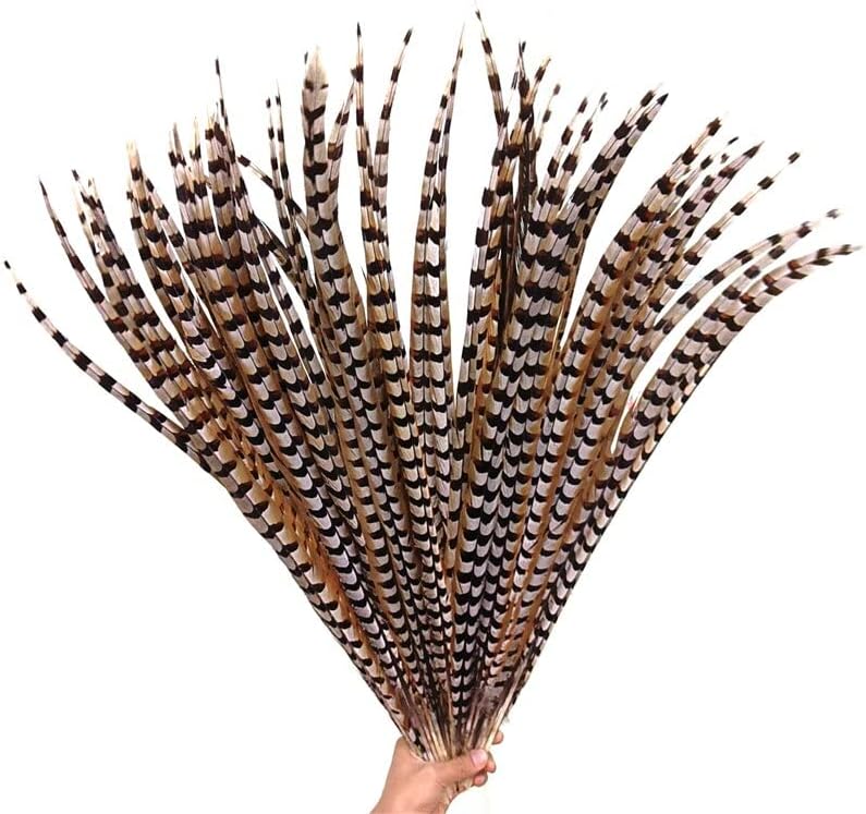 Natural Lady Amherst Pheasant Feathers for Decoration Top with Long Reeves Venery Feather Carnival Accessories Performance Props - 10 Piece