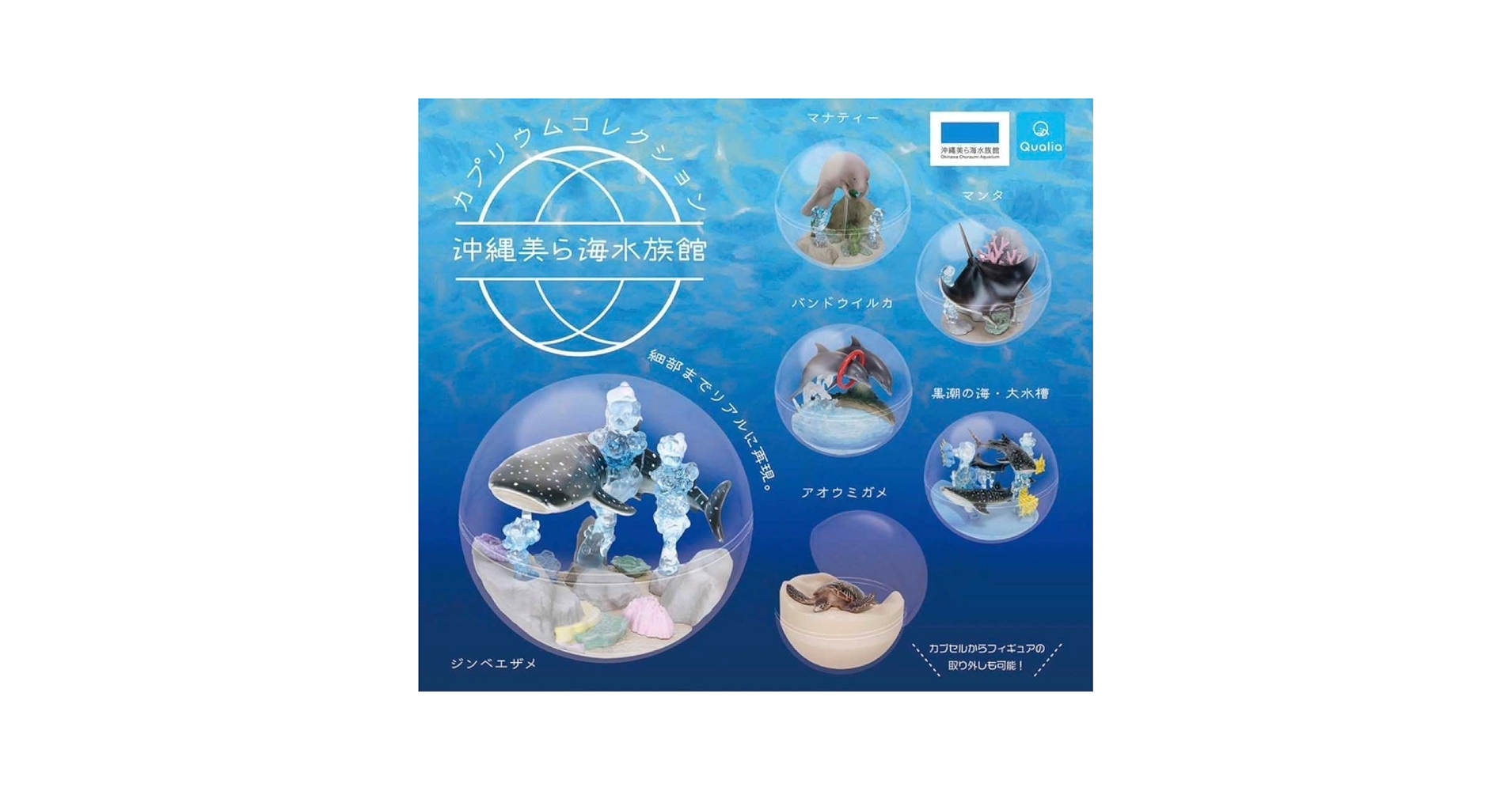 [新品、未開封品] 沖縄 美ら海水族館 カプリウムコレクション m39506357934_1.jpg?1727429180