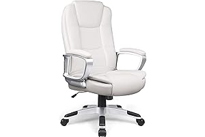 LEMBERI Ergonomic Executive Office Chair - Wide and Comfortable for Long Hours of Sitting