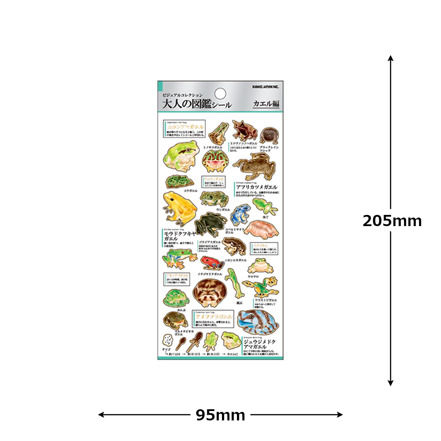 Amazon | カミオジャパン シール 大人の図鑑シール カエル 226344