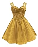 Short Homecoming Dress for Teens Off Shoulder Sparkly Lace DAMA Dresses for Quinceanera Puffy Tulle Prom Gown