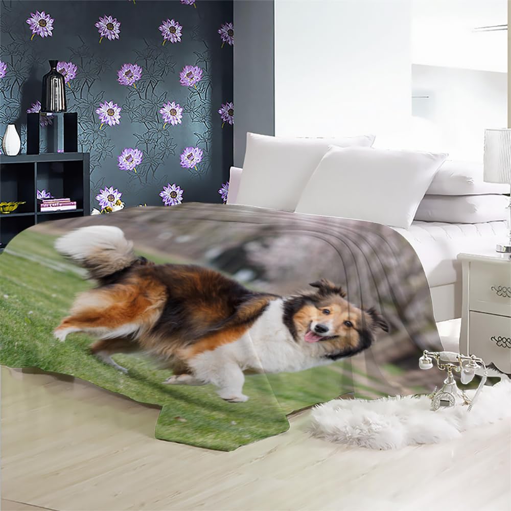 Flanelle Couverture Chien De Berger Chien Animal Berger Shetland Couverture lit 2 Personnes 3D Imprimée Doux Chaud Couverture Queen Super Douce Canape Couverture 2 Personnes 180x220
