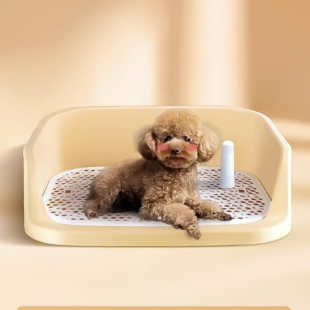 Vassoio WC per animali domestici, design a griglia con bordo rialzato, 60 x 50 V (giallo)