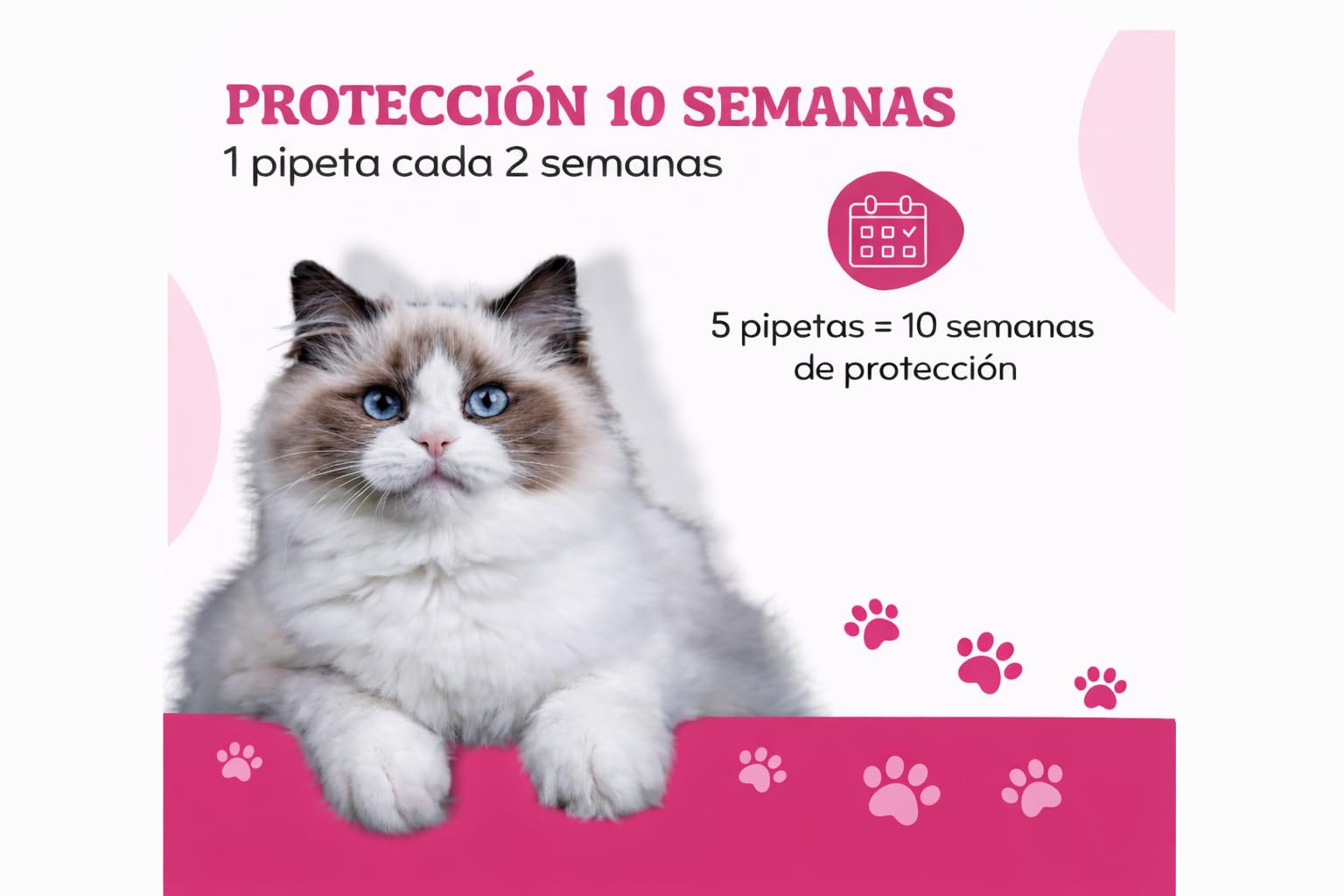 Spot On Antiparasitario Natural para Gatos y Gatitos de Larga Duración, 5 Pipetas de 1 ml, Protege contra Pulgas, Garrapatas, Flebotomos y Mosquitos