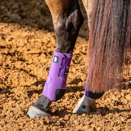 Image of Classic Equine Legacy2 Support Boots, Hind