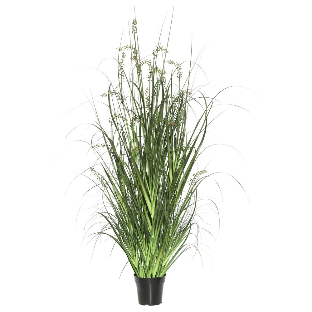 Vickerman Everyday 24" Artificial Green Sheep's Grass with Black Plastic Pot - Faux Grass Plant Decor - Home Or Office Indoor Greenery Accent - Maintenance Free