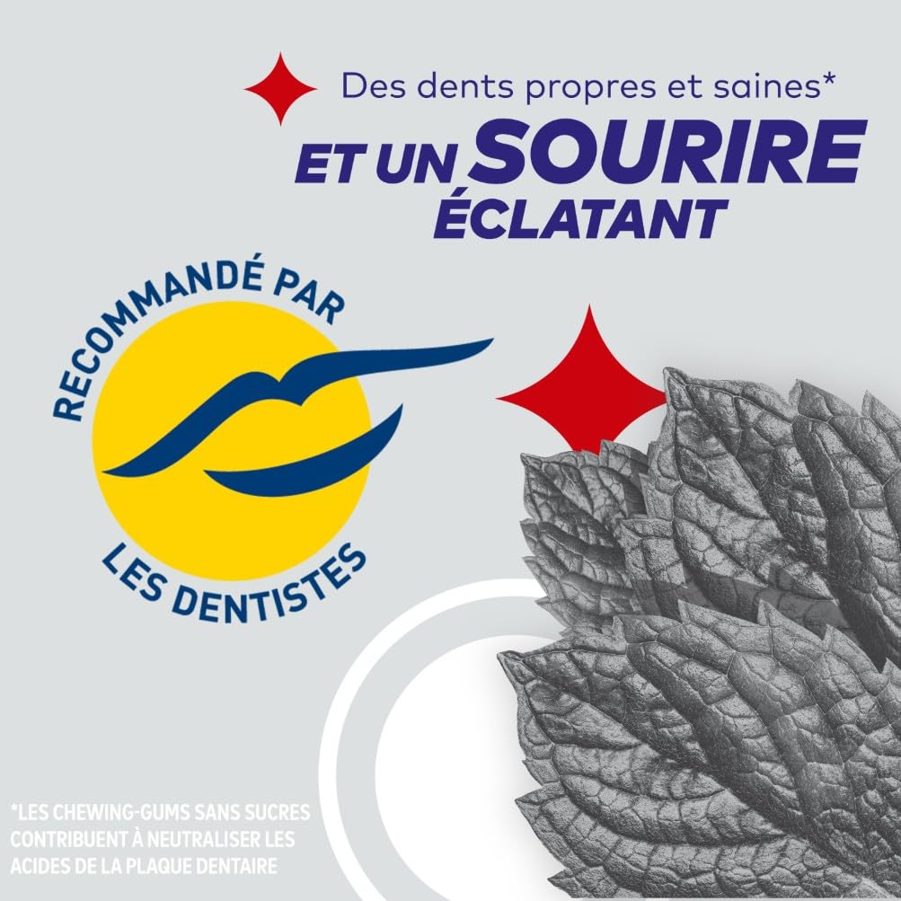 FREEDENT WHITE Chewing Gum Sans Sucre Goût Fruit 5 Paquets 70g