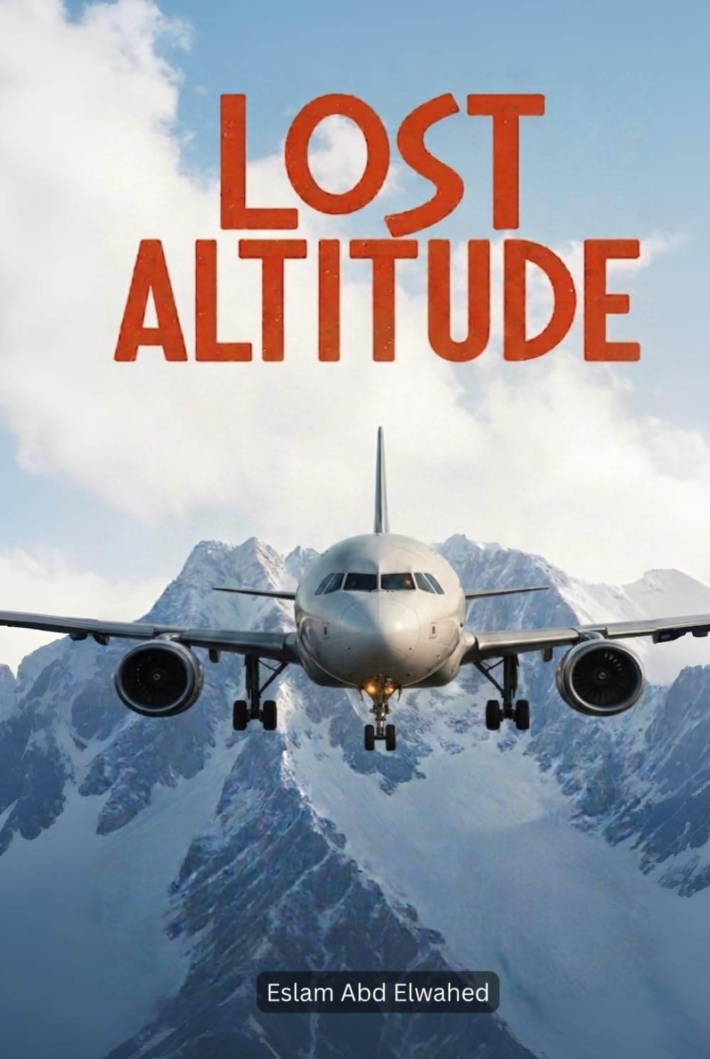 Lost Altitude: 100 True Stories of Planes That Vanished Without a Trace (Disasters & Accidents)