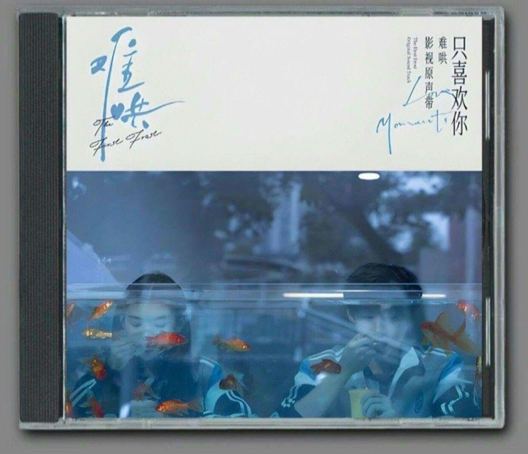 Amazon.co.jp: 中国ドラマ『あの日の君と(難哄なんこう)』白敬亭