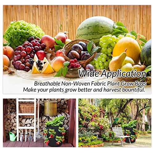 Grow Bags,Strawberry Planter Bags With Flap And Handles,3 Pack 10 Gallon Heavy Duty Fabric Plant Pots For Tomato,Carrot, Onion, Fruits, Flower And Vegetables #TOP5