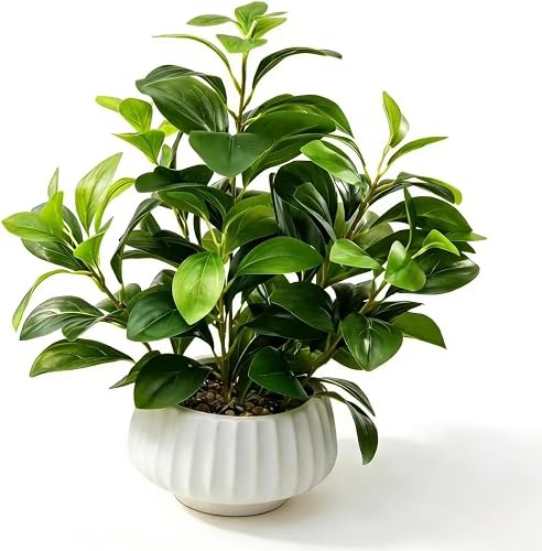 Artificial Peperomia Plants 16” Tall Lifelike Faux Greenery in 6” White Ribbed Ceramic Planter Realistic Indoor Fake Potted Plant for Home Office Desk Shelf Bathroom Bedroom Farmhouse Decor