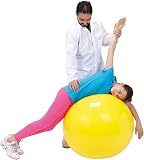 ギムニク ギムニク(GYMNIC) 55の商品画像