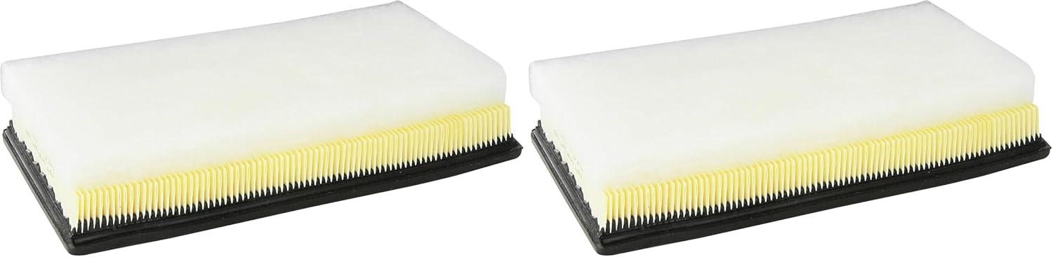 Motorcraft Air Filter (Pack of 2)