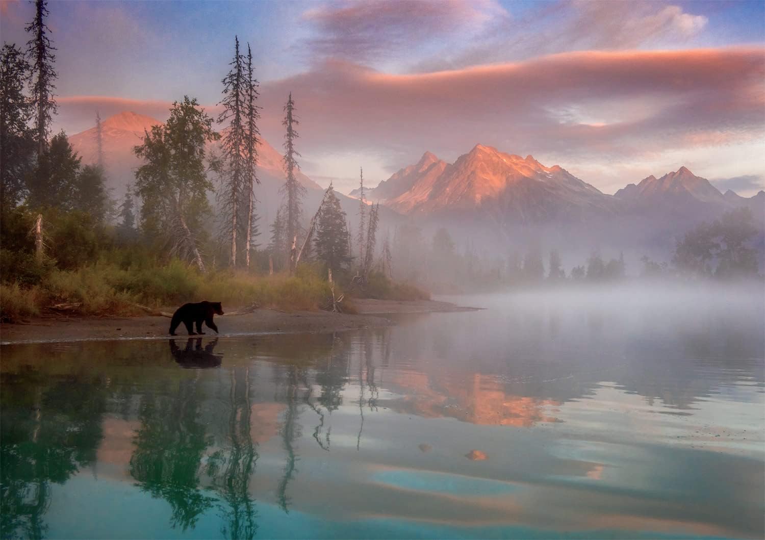 Buffalo Games - Molly McCormick - Bear Reflections - 500 Piece Jigsaw Puzzle